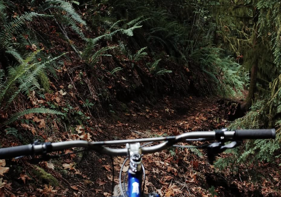 First mountain bike trails coming to Olympia, WA with 15 bike-only routes at Marj Yung Park