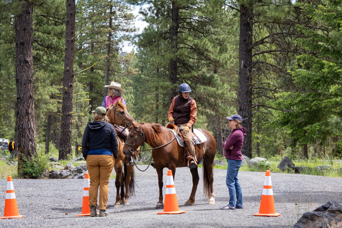 Two people on horseback engage in conversation with two individuals on foot amidst a forested area. Orange traffic cones are positioned on the gravel pathway, and pine trees provide background greenery, suggesting an outdoor riding or trail event.