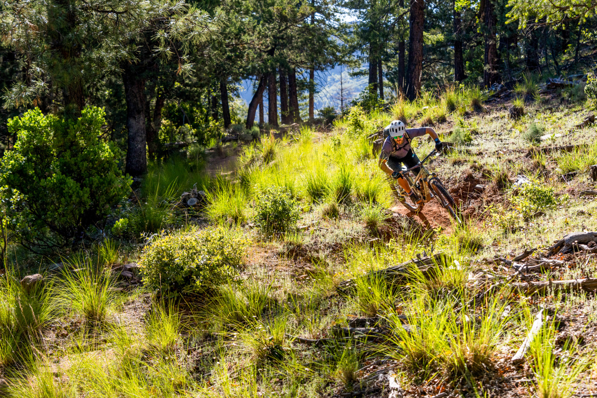 A mountain biker navigating a winding dirt trail in a forested area, surrounded by tall grass and greenery. The scene captures the rider in motion, leaning into a turn under a canopy of trees with sunlight filtering through the leaves.