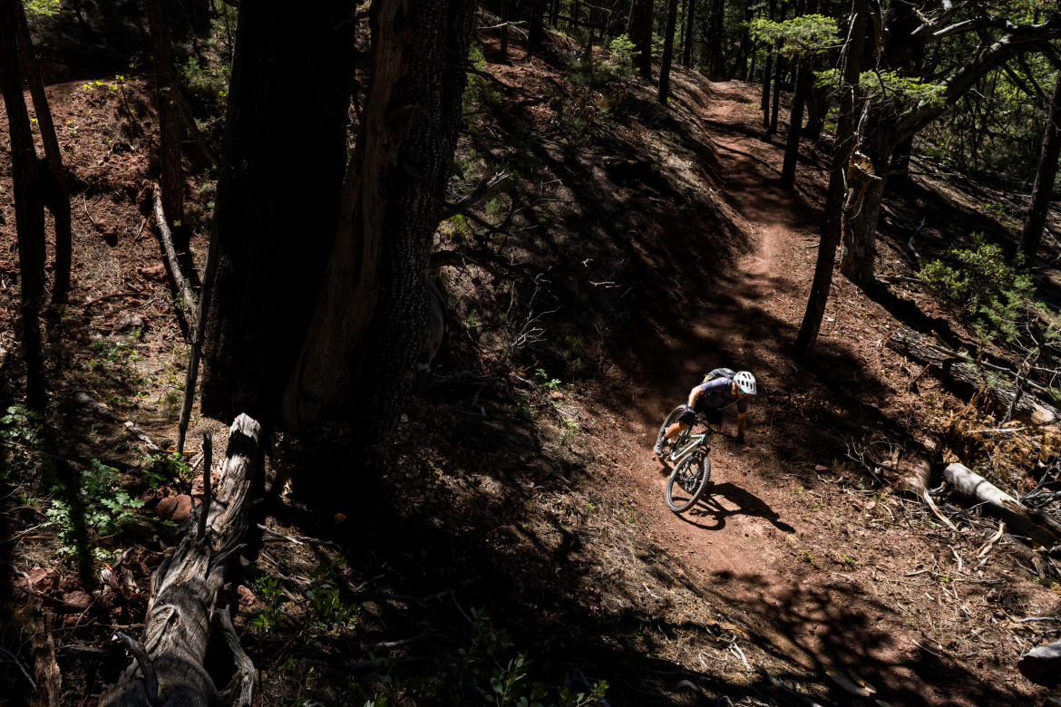 A mountain biker navigates a narrow dirt trail through a sunlit forest, surrounded by trees and rugged terrain. The biker is leaning into a turn, emphasizing the dynamic nature of the sport against the backdrop of lush greenery and shadows.