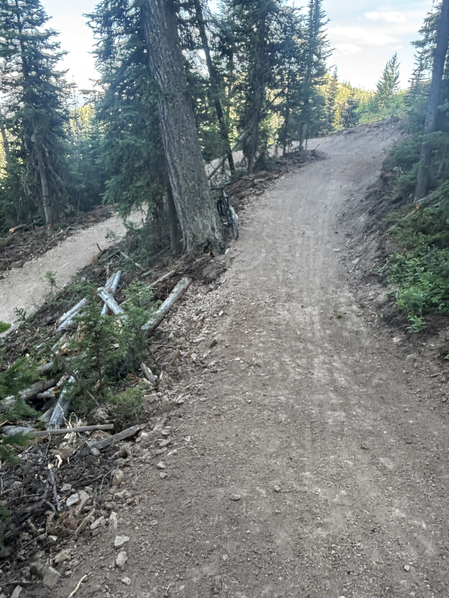 A winding dirt trail surrounded by tall trees, with a path leading to the right and a glimpse of another trail in the background. Fallen branches and underbrush are visible along the edges of the path, suggesting a natural, outdoor setting.