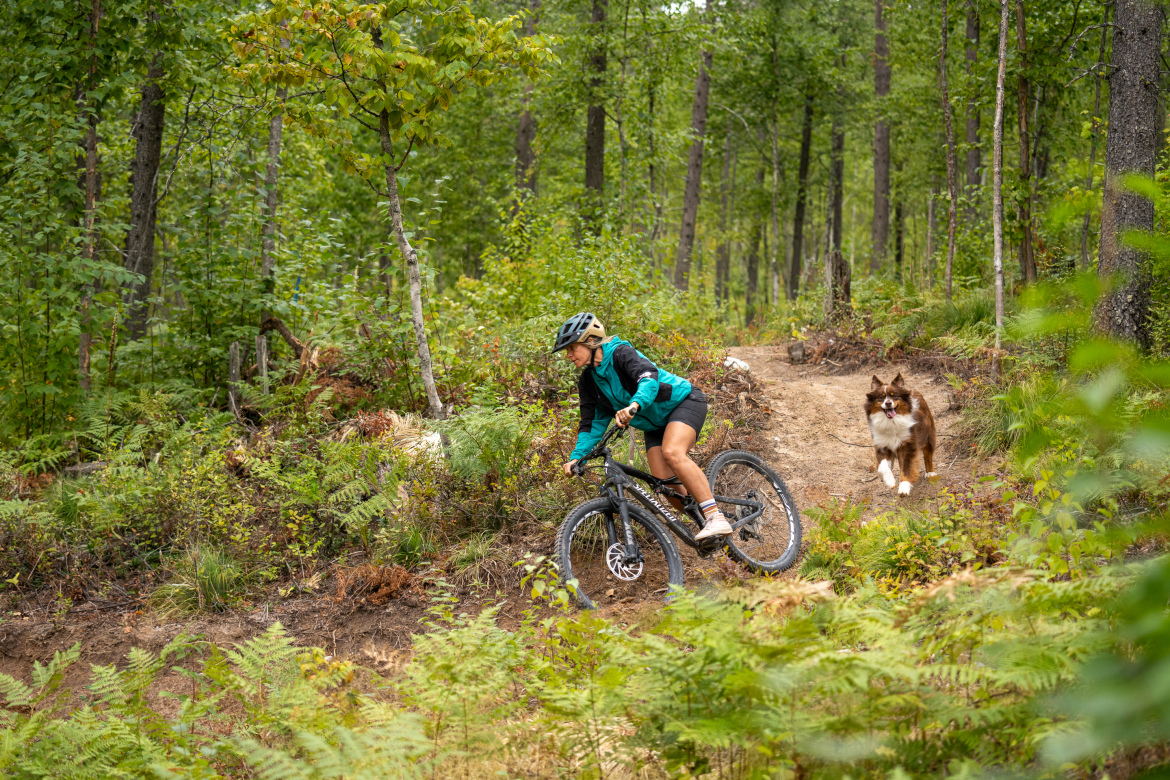 A person riding a mountain bike along a dirt trail in a lush, green forest, with ferns lining the path. A dog is running joyfully alongside the biker, adding a sense of motion and adventure to the scene.