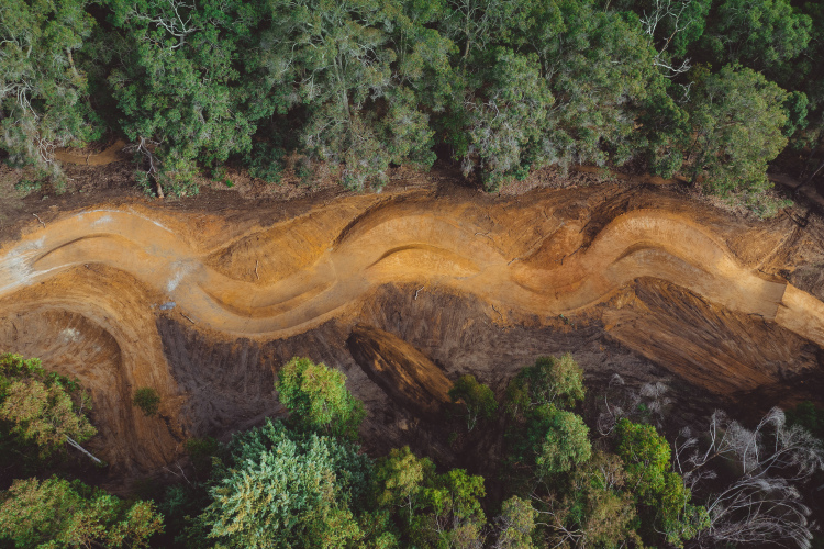 Aerial view of a winding dirt path through a forest, showcasing a mixture of earthy tones and lush greenery surrounding the track. The path features smooth curves and undulations, indicating a designed trail or bike track, set against a backdrop of dense trees.