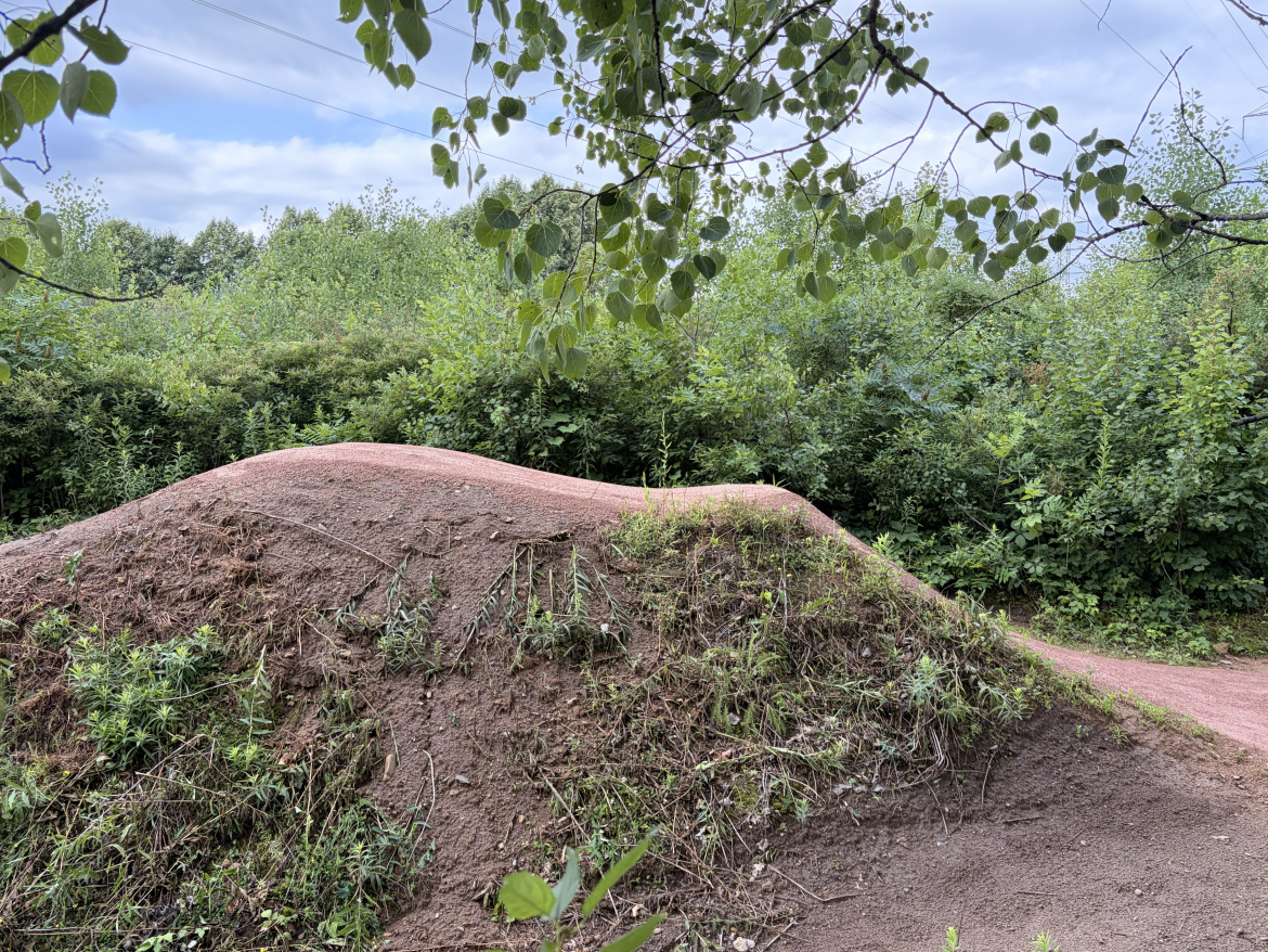 A dirt jump ramp surrounded by lush green vegetation under a cloudy sky. The ramp is slightly curved and has patches of grass and weeds growing on it, indicating it's a natural, outdoor setting for biking or skateboarding.