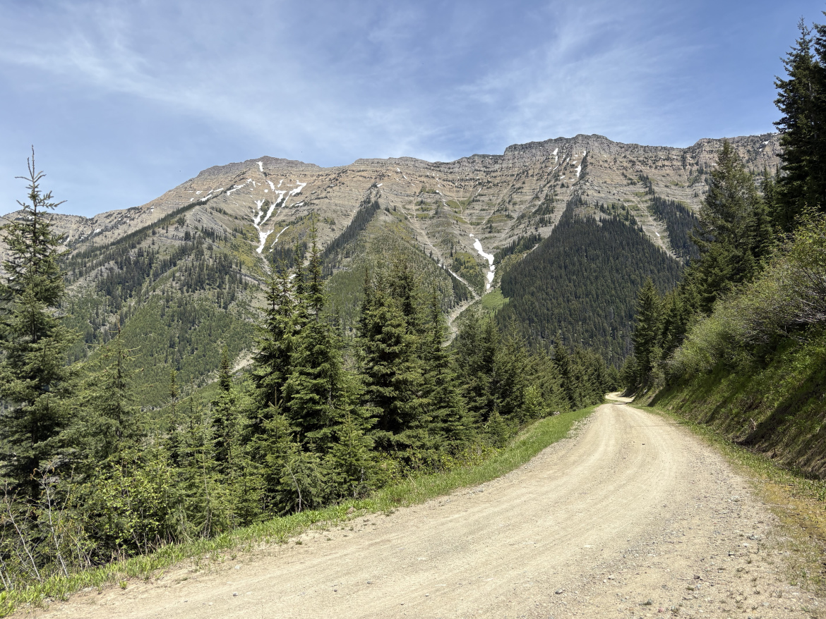 A dirt road winds through a forested area, leading toward a mountain range. The mountains are steep and rocky, featuring patches of snow on their slopes. Tall trees line the sides of the road, and the sky above is clear with a few clouds. The scene captures a serene and natural landscape, inviting exploration and adventure.