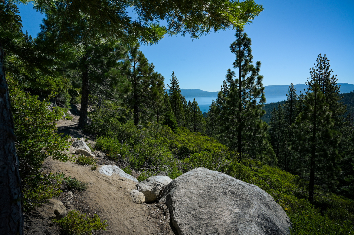 A scenic view of a forested path leading down to a lake, surrounded by tall pine trees and boulders, with clear blue skies above. The lake is visible in the distance, framed by rolling hills.