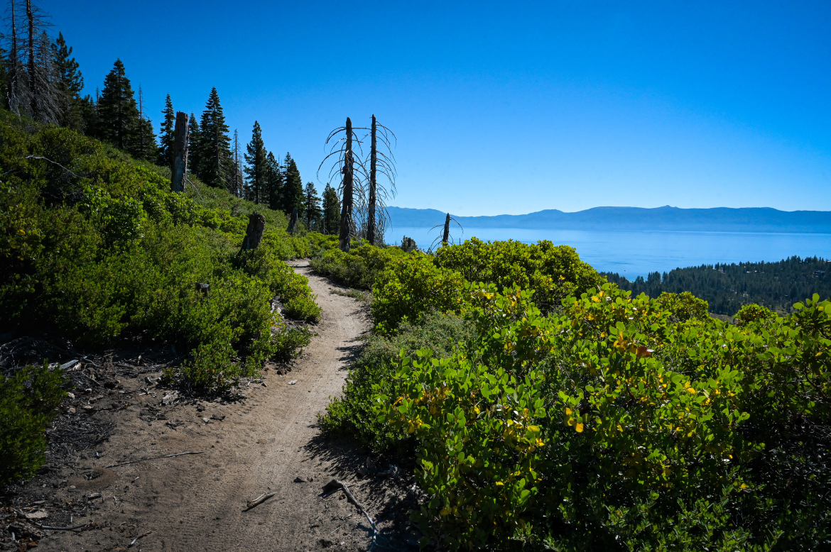 A winding dirt path surrounded by lush green shrubs and trees, leading towards a scenic view of a lake and distant mountains under a clear blue sky.