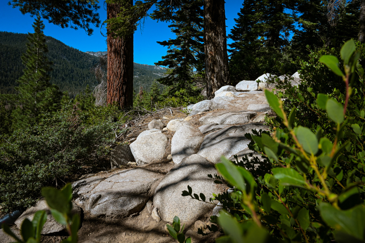 A rocky path winds through a forested area, featuring large boulders and surrounded by lush green vegetation. Towering trees create a backdrop against a clear blue sky, and distant mountains are partially visible in the background.