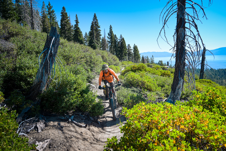 A mountain biker navigates a winding trail through lush green foliage and tall trees, with a clear blue sky and a lake visible in the background. The rider is wearing an orange shirt and a helmet, focused on the path ahead.