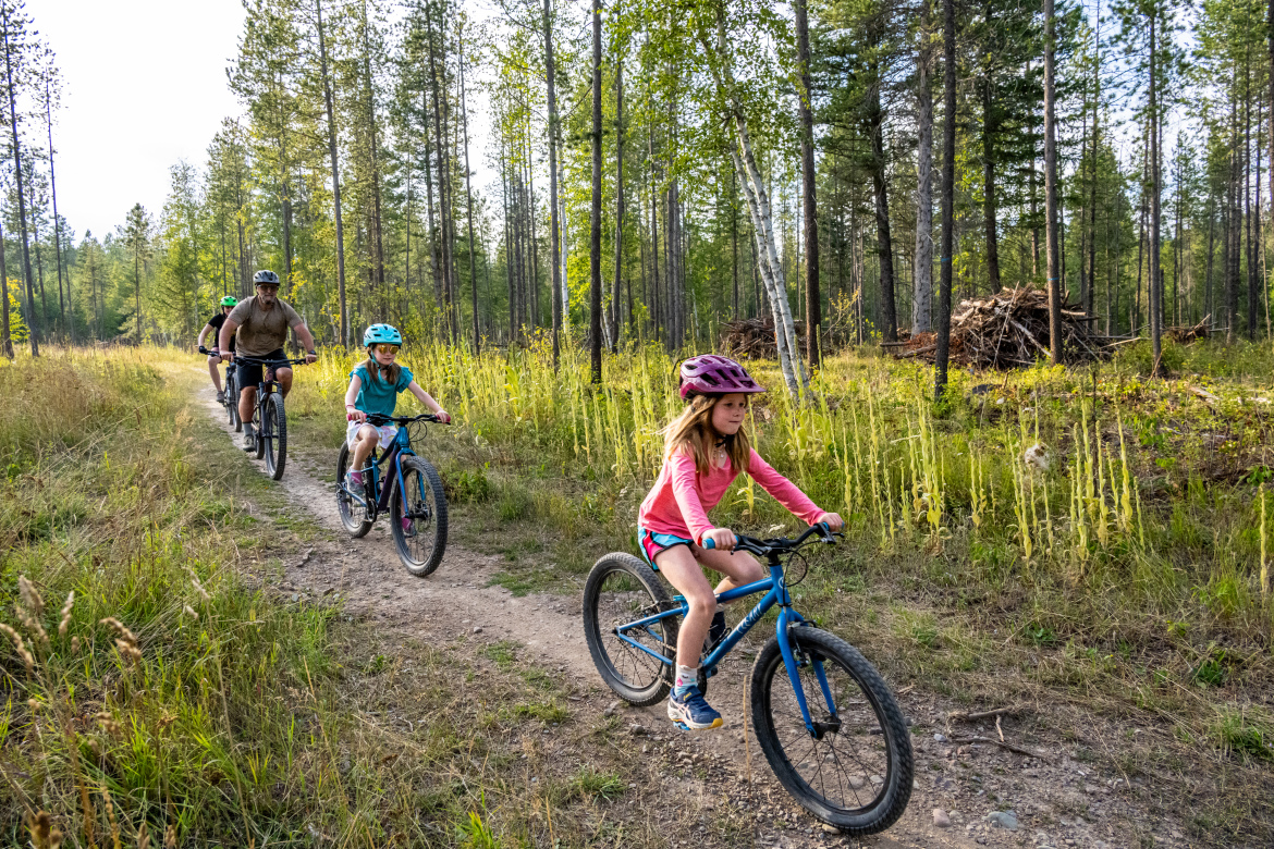 A group of four people riding mountain bikes along a dirt trail surrounded by tall pine trees and greenery. Two children, one wearing a pink helmet and the other a blue helmet, lead the way, while an adult trails behind them. The sunny atmosphere indicates a pleasant outdoor setting.