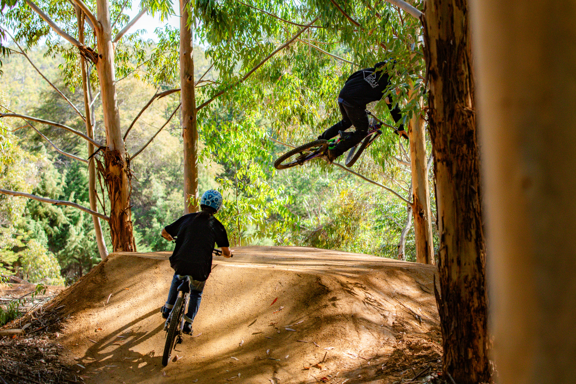 Two children are riding bicycles on a dirt trail surrounded by tall trees. One child is in the foreground, wearing a blue helmet and riding down the path, while the other child is in the air performing a jump on their bike, showcasing an exciting moment in their ride. Sunlight filters through the leaves, creating a vibrant and lively atmosphere.
