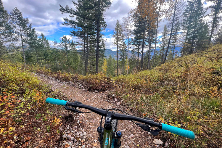 A mountain bike is positioned in the foreground, with the handlebars and grips visible. The bike is on a gravel trail surrounded by a forest of tall evergreen trees and colorful autumn foliage. In the background, rolling mountains are visible under a partly cloudy sky.