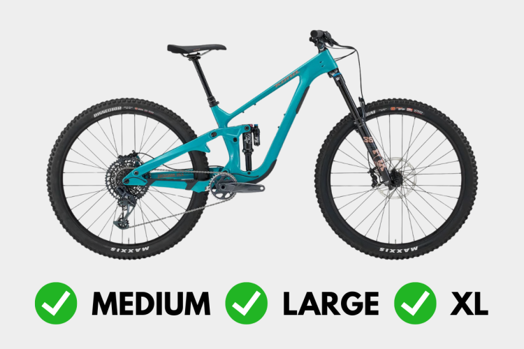 A teal mountain bike displayed at an angle, featuring a full suspension design and equipped with wide tires. Below the bike, there are green checkmarks indicating that the bike is available in medium, large, and extra-large sizes.