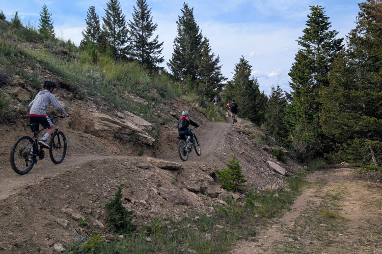 A group of mountain bikers navigating a dirt trail on a hillside, surrounded by trees and a blue sky. One cyclist is in mid-air as they jump off a small incline, while two others ride along different parts of the trail, showcasing a challenging outdoor biking environment.