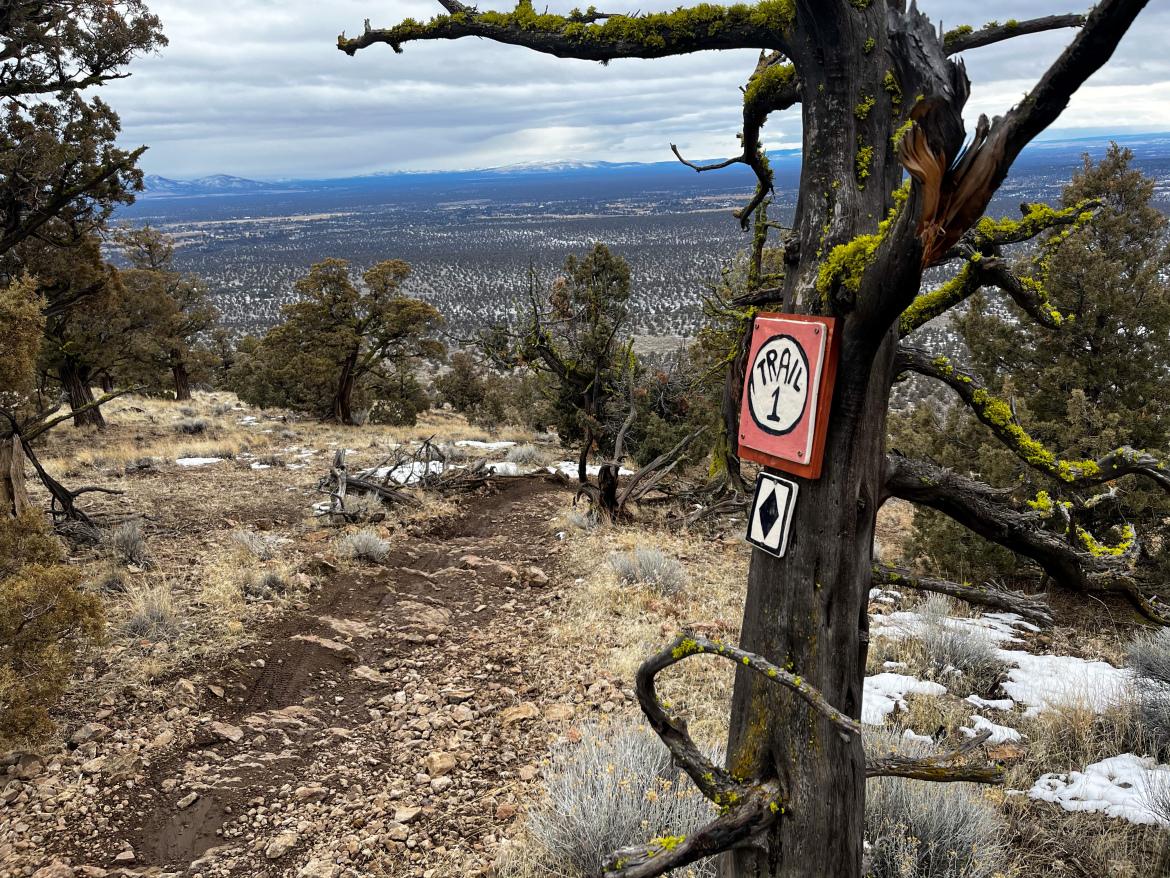 A rocky hiking trail sign marked "Trail 1" attached to a tree, with a view of a vast landscape filled with trees and mountains in the distance. The ground is covered with scattered rocks and patches of snow, and the sky is cloudy.