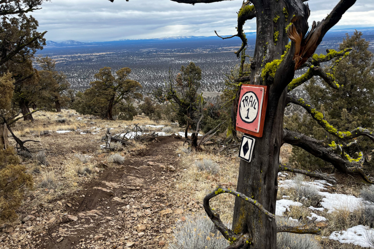 A rocky hiking trail sign marked "Trail 1" attached to a tree, with a view of a vast landscape filled with trees and mountains in the distance. The ground is covered with scattered rocks and patches of snow, and the sky is cloudy.