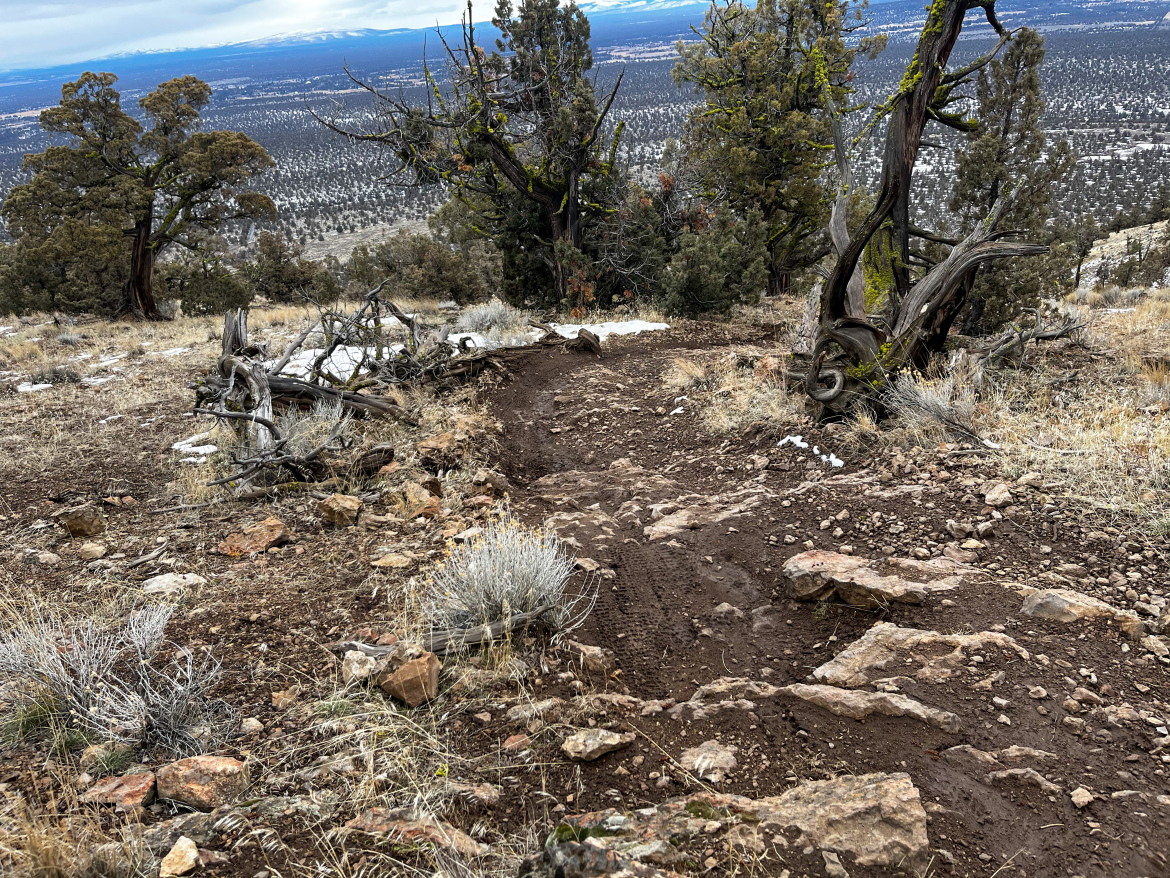 A rugged hiking trail winds down a steep hillside, surrounded by sparse vegetation and rocky terrain. In the distance, a panoramic view of rolling hills and mountains can be seen under a cloudy sky. A few scattered trees and patches of grass are visible, highlighting the natural landscape.
