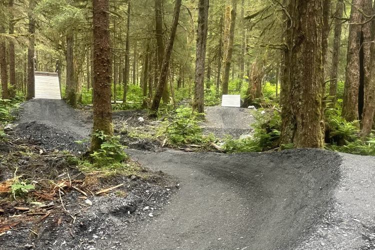 A bike trail featuring dirt jumps and ramps, surrounded by dense trees and greenery in a forested area. The path has a smooth curve leading up to a jump on the left and another jump further along the trail, both set against a backdrop of lush foliage.