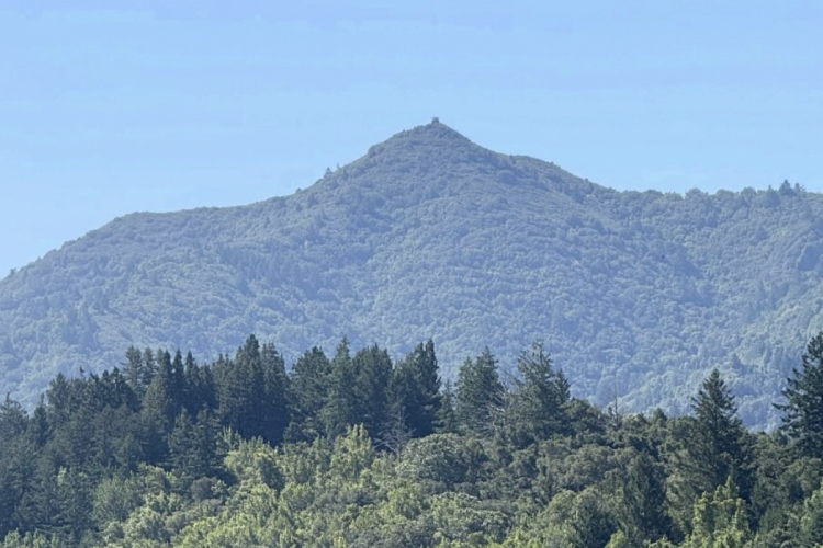 A panoramic view of a green, wooded mountain with a prominent peak, set against a clear blue sky. The foreground features lush trees, providing a contrast to the mountainous backdrop.