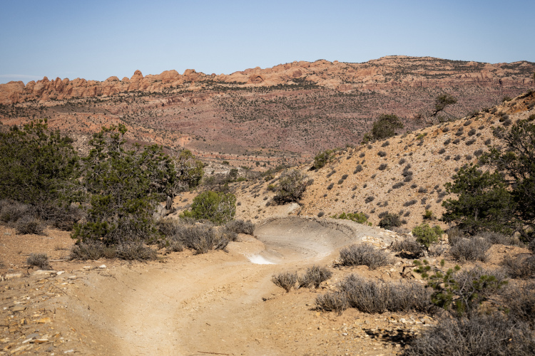 A winding dirt path leads through a rugged, desert landscape with reddish rock formations in the background. Sparse vegetation, including low shrubs and trees, is visible along the path, set against a clear blue sky. The scene captures the essence of a remote and arid terrain.