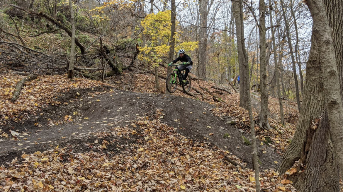 A mountain biker riding down a dirt ramp covered in autumn leaves, surrounded by trees with yellow foliage in a wooded area.