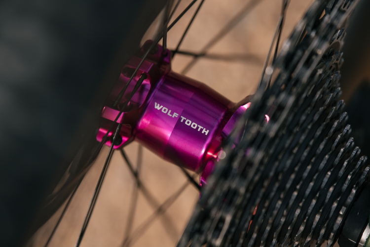 Close-up of a purple Wolf Tooth bike hub, partially obscured by bike spokes and a rear cassette, set against a blurred background.