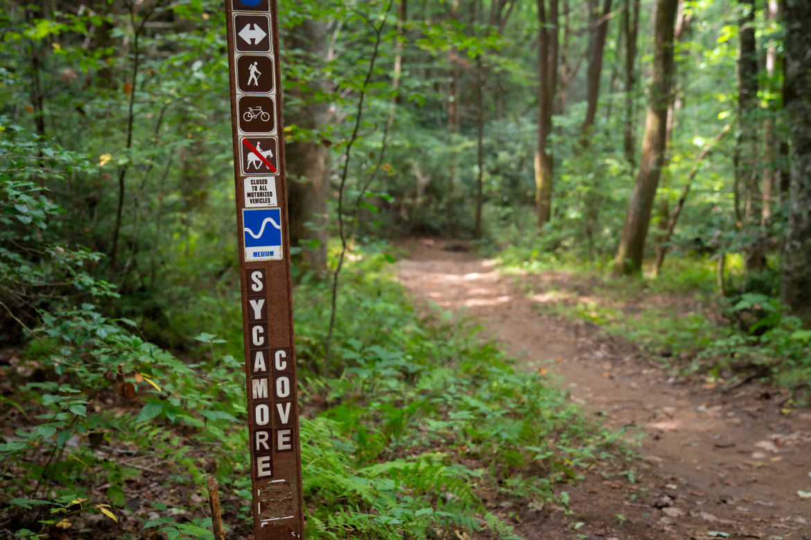 A trail sign at Sycamore Cove surrounded by lush greenery, displaying various hiking and biking symbols, including a warning against motorized vehicles. A dirt path winds through the trees, inviting outdoor enthusiasts to explore the area.