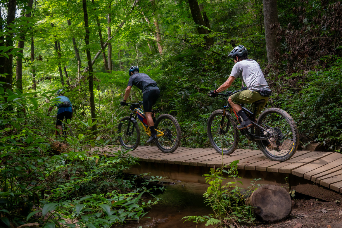Three mountain bikers ride over a wooden bridge in a lush, green forest. The path is surrounded by dense foliage and trees, creating a serene outdoor environment. Sunlight filters through the leaves, enhancing the vibrant greenery of the scene.