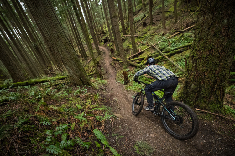 A mountain biker descends a narrow, winding trail through a dense forest filled with tall trees and lush greenery. The rider, dressed in a plaid shirt and helmet, leans forward on the bike, navigating the rugged terrain. Surrounding the path are fallen logs and ferns, creating a natural, adventurous atmosphere.