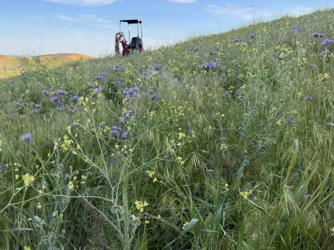A scenic view of a grassy hillside adorned with wildflowers, including yellow and purple blossoms, with a tractor parked in the background under a clear blue sky. The rolling hills are visible in the distance, creating a tranquil rural landscape.