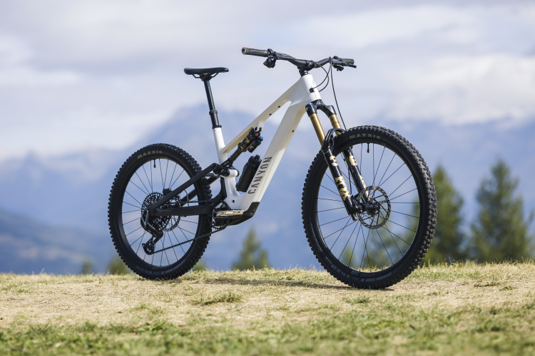 Mountain bike with a white and black frame, high-performance suspension, and knobby tires, positioned on a grassy area with a mountainous backdrop.