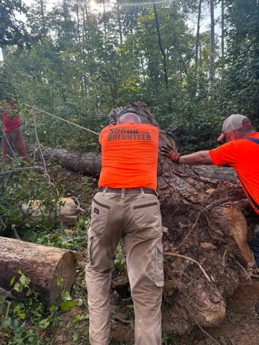 Three volunteers are working together to move a large fallen tree in a forested area. The person in the foreground is wearing an orange shirt that reads "VOLUNTEER" and is bracing against the tree trunk. Behind them, another volunteer is pulling on a rope attached to the tree, while a third person is visible on the left, actively assisting. Sunlight filters through the trees in the background, illuminating the scene.