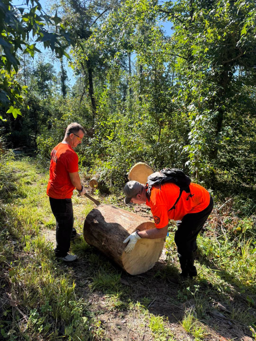 Two individuals in bright orange shirts are working together in a wooded area. One is using a tool to chop at a large log, while the other is bending down to examine it. Surrounding them are lush green trees and underbrush under a clear blue sky.