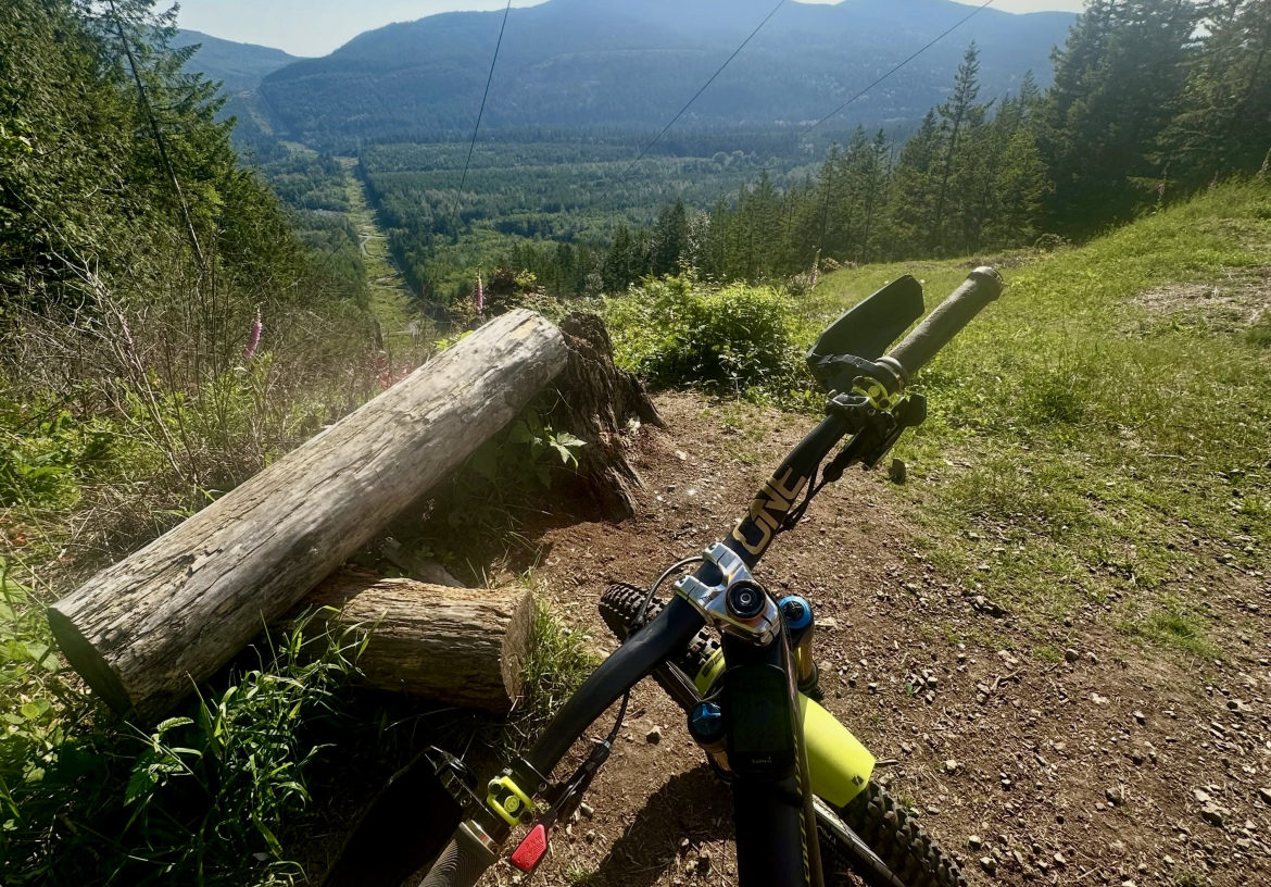 A mountain bike positioned on a trail overlooking a lush valley with mountains in the background. The scene is sunny and features greenery, wildflowers, and a fallen log beside the bike.