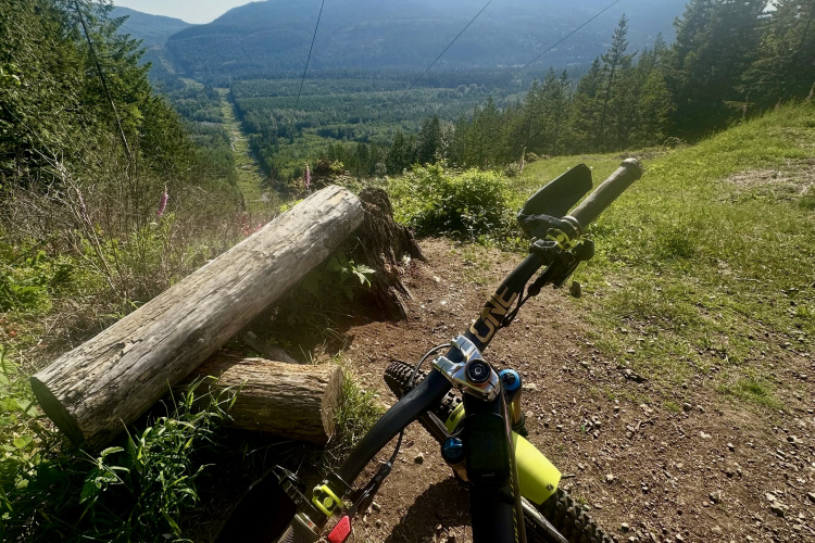A mountain bike positioned on a trail overlooking a lush valley with mountains in the background. The scene is sunny and features greenery, wildflowers, and a fallen log beside the bike.