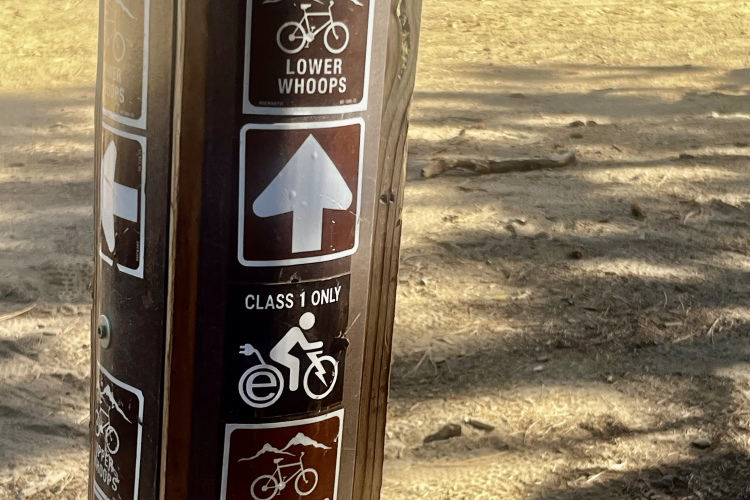 A wooden trail post with several mountain biking signs, including directions for "Lower Whoops," an arrow pointing upward, a "Class 1 Only" symbol indicating allowed bike types, and a sign for "Pine Drops." The background features a natural, sunlit forest floor.