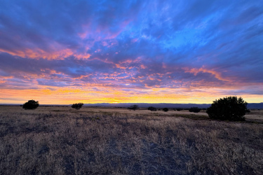 A scenic landscape featuring a vibrant sunset with a colorful sky filled with clouds in shades of pink, orange, and blue. In the foreground, dry grass and sparse vegetation contrast with the dramatic sky, while distant hills can be seen on the horizon.