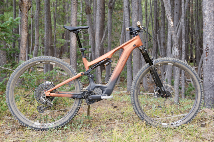 A mountain bike with a sleek design, featuring an orange and black frame, is positioned among trees in a forested area. The bike is equipped with a front suspension fork and thick tires, resting on a patch of grass and earthy terrain.