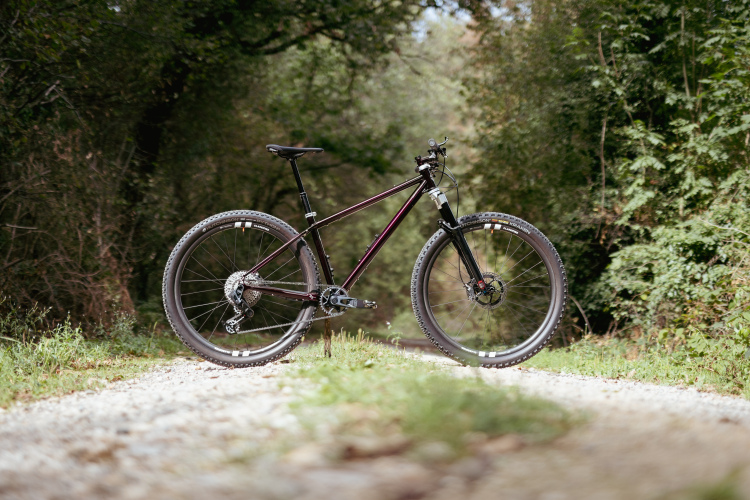 A mountain bike standing on a gravel path surrounded by greenery and trees. The bike has a sleek design with thick tires and a sturdy frame, showcasing its readiness for off-road adventures.