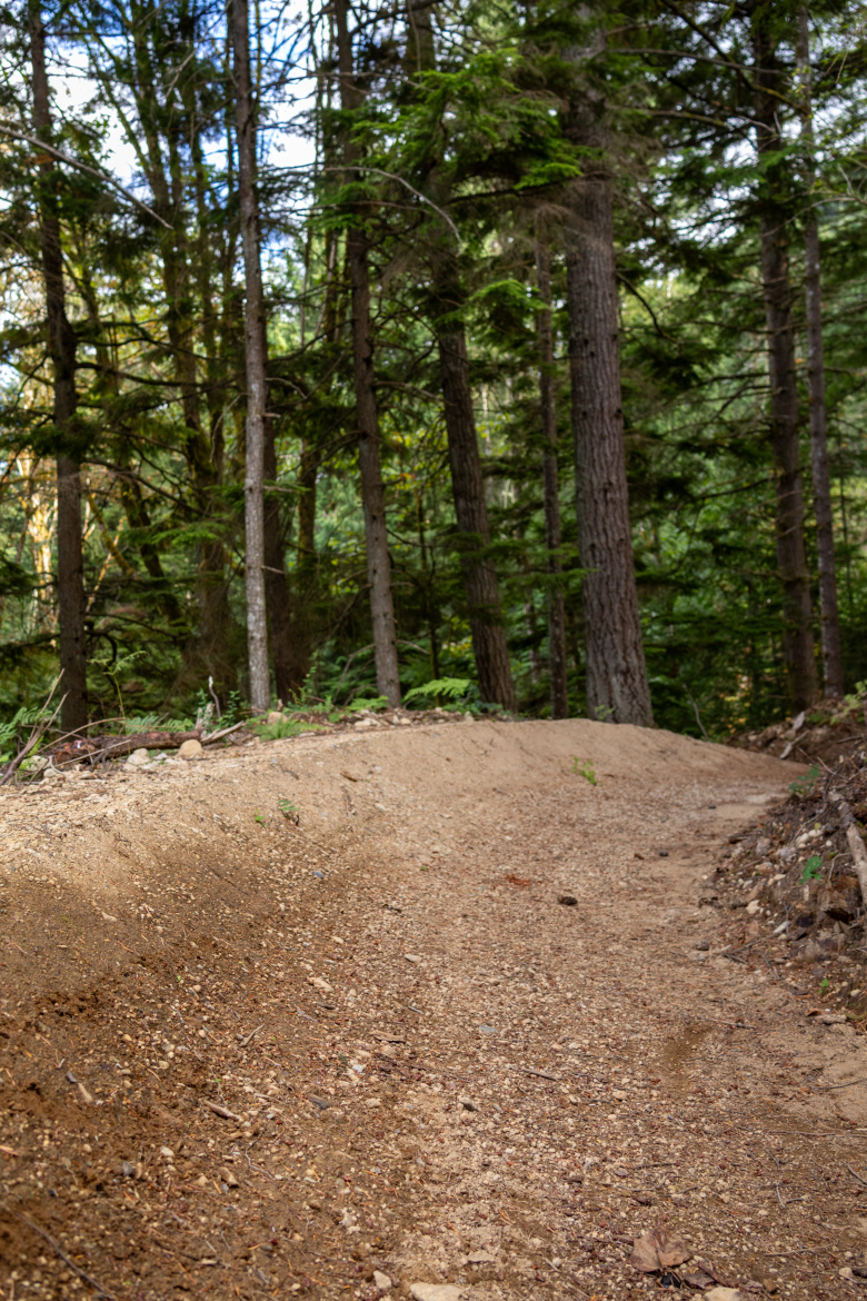 A dirt trail winding through a forest with tall trees and greenery on either side, surrounded by earthy soil and small rocks. The path appears well-defined and leads into the distance, suggesting a peaceful outdoor setting.