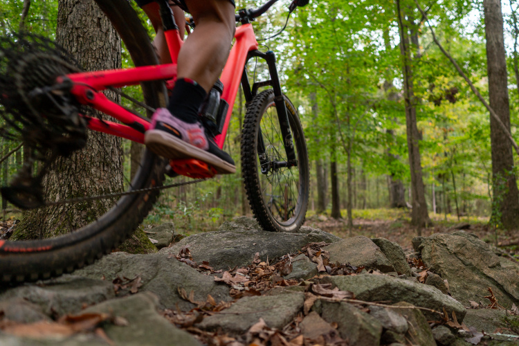 A close-up view of a mountain bike navigating over rocky terrain in a dense forest. The bike features a vibrant pink frame and a visible rear wheel, with a blurred rider's foot positioned above the rocks. Surrounding the scene are lush green trees and scattered leaves on the ground, indicating a natural outdoor setting.