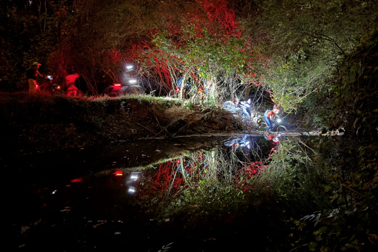 A dark, nighttime scene depicting a group of cyclists near a body of water, with their bike lights creating a vibrant reflection on the surface. Surrounding vegetation is illuminated in red, while the riders, partially obscured by foliage, navigate the area. The scene captures an adventurous atmosphere in nature.