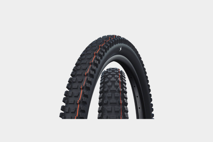 Schwalbe Albert Evolution Tubeless Radial Tire - 29in