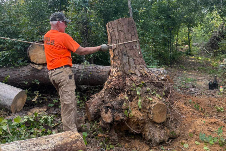A person in an orange shirt and camouflage cap is using a rope to pull a large tree stump while standing in a wooded area. Surrounding the stump are fallen tree logs and greenery, with a few tools visible on the ground in the background.
