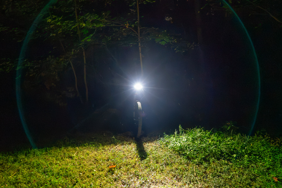 A bright flashlight beam illuminates a dark forest at night, casting a long shadow over grass and small plants. Surrounding silhouettes of trees are faintly visible in the background.